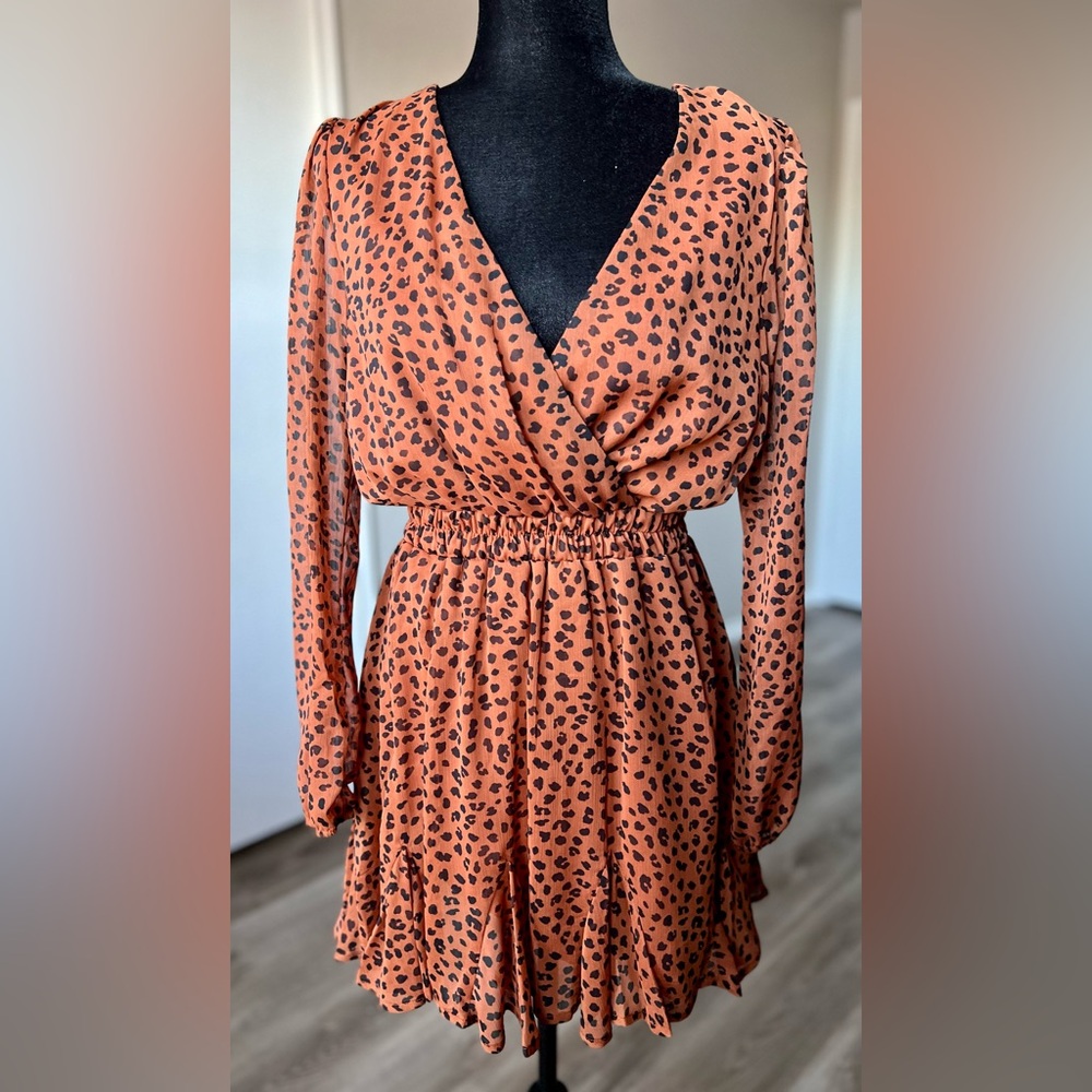 Chic Leopard Print Long Sleeve Dress